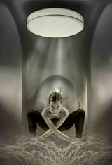 The Ballerina Poster och Canvastavla