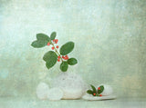 Holly Berries Poster och Canvastavla