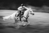 Gallop Poster och Canvastavla