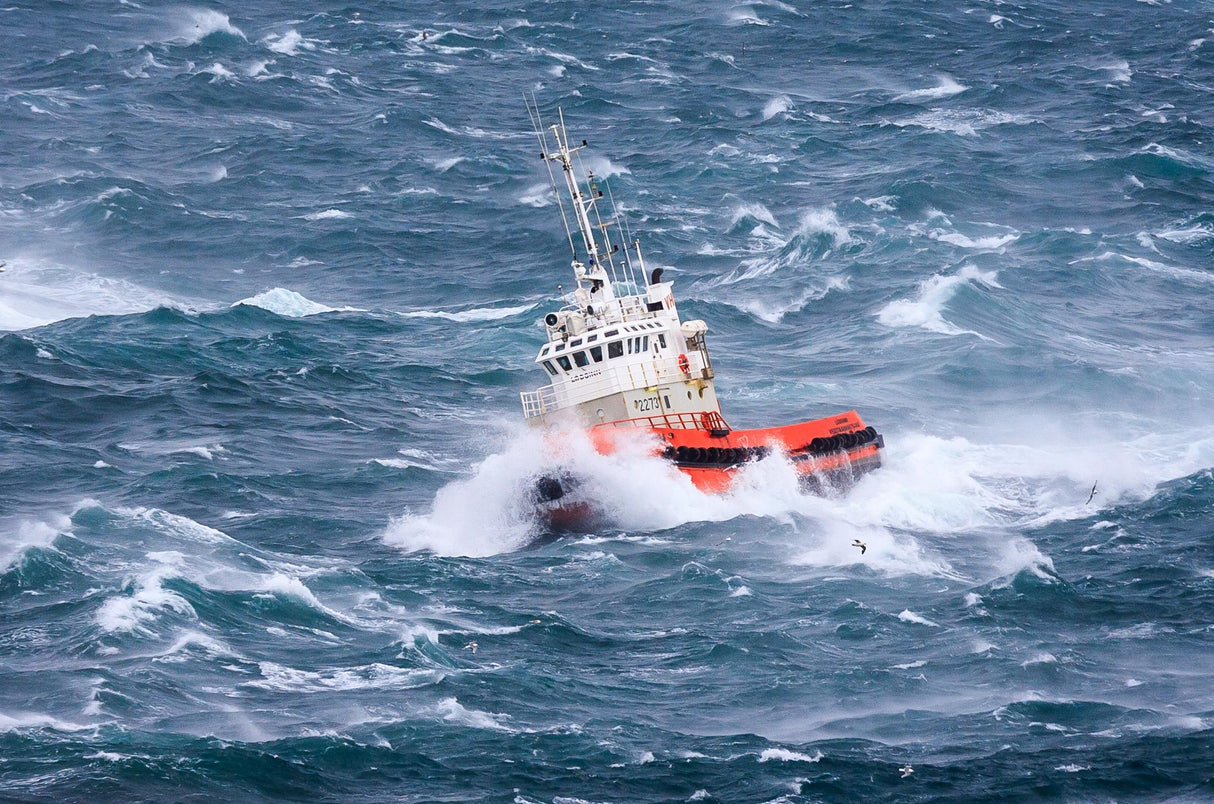 Pilot Boat Poster och Canvastavla