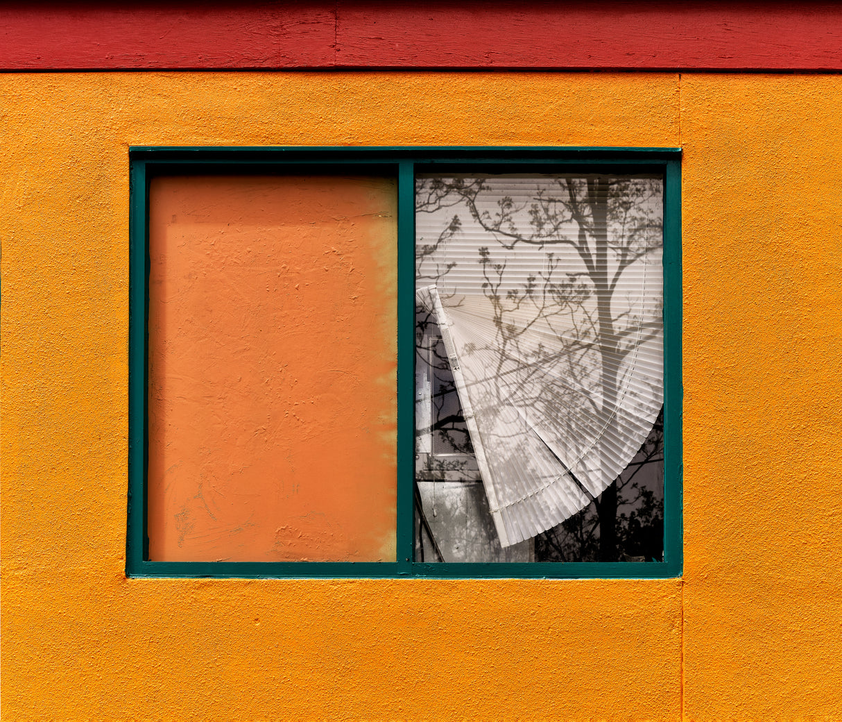 Shades &amp; Blinds Poster och Canvastavla