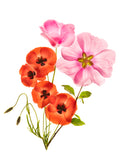 Flower composition III Poster och Canvastavla