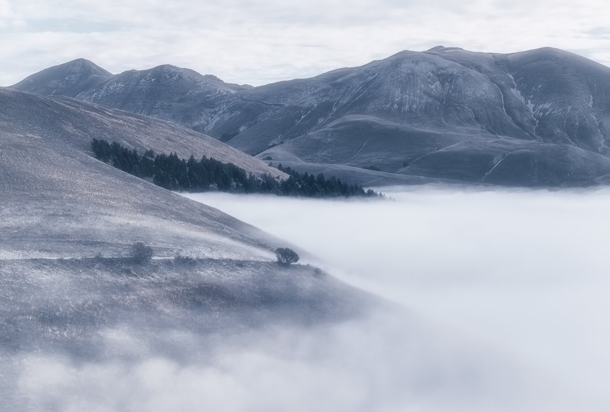 The fog Poster och Canvastavla