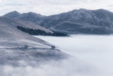 The fog Poster och Canvastavla