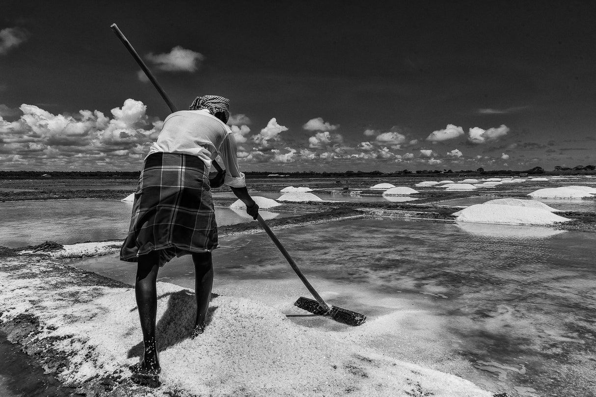 Marakanam Saltpan Poster och Canvastavla
