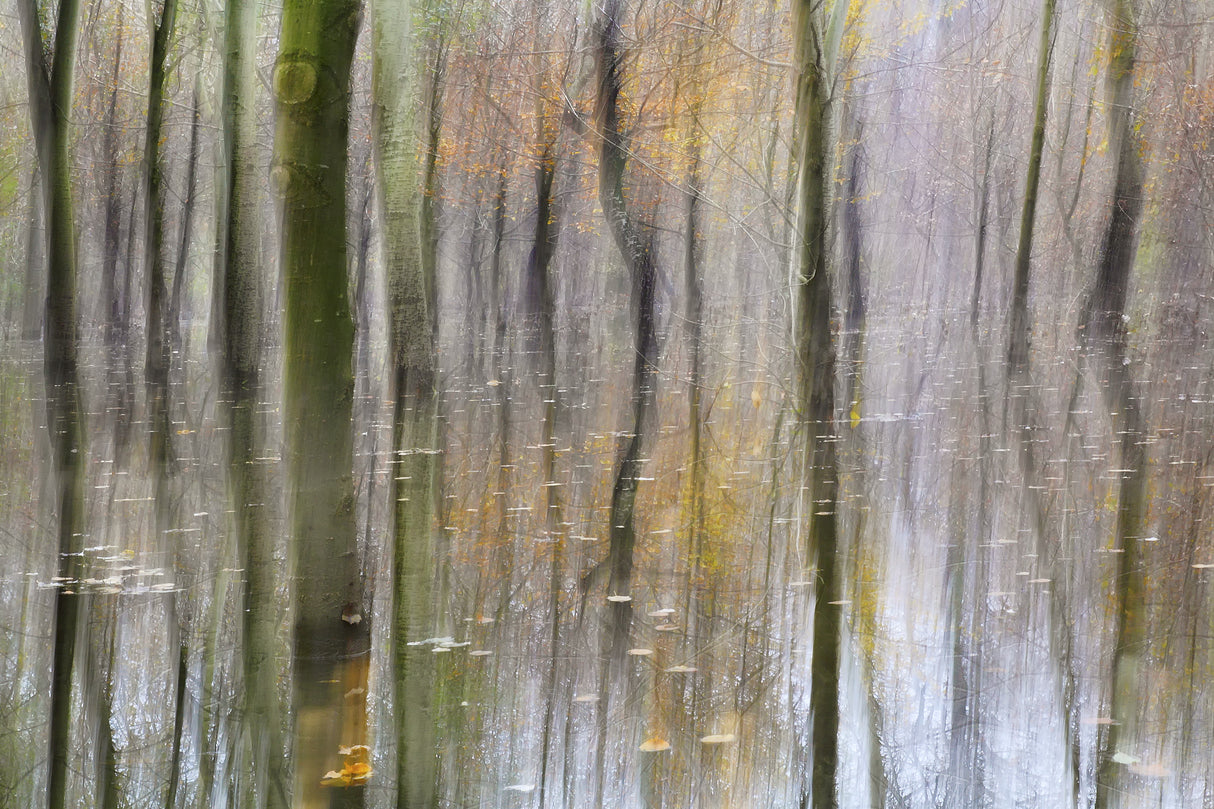 Ticino river flooding in abstract Poster och Canvastavla