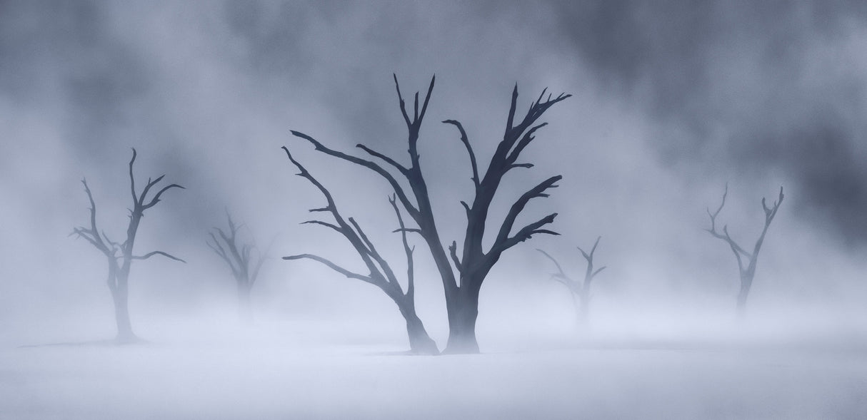 Limbo Poster och Canvastavla