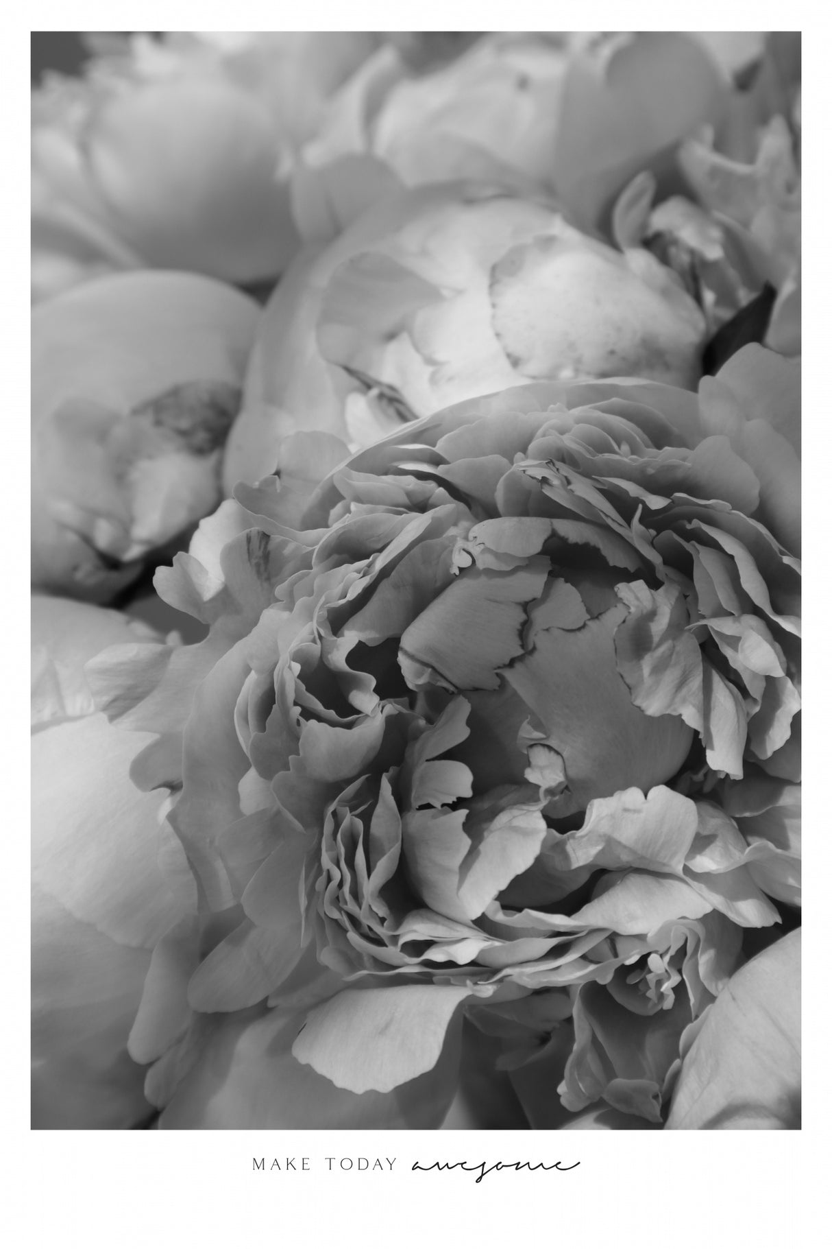 Make today awesome peonies BW Poster och Canvastavla