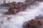 magical fog Poster och Canvastavla