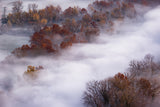 magical fog Poster och Canvastavla