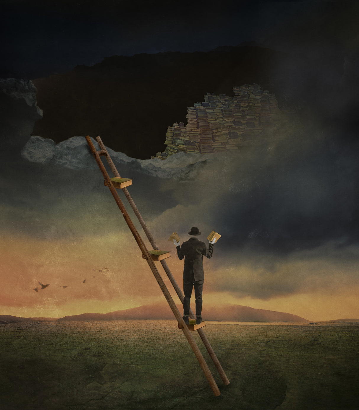 Pedal on the ladder of human progress Poster och Canvastavla
