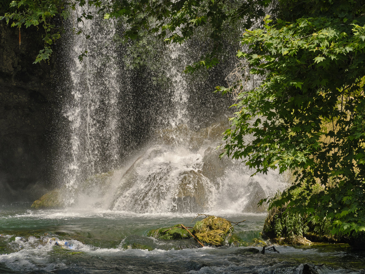beautiful waterfall in the forest Poster och Canvastavla
