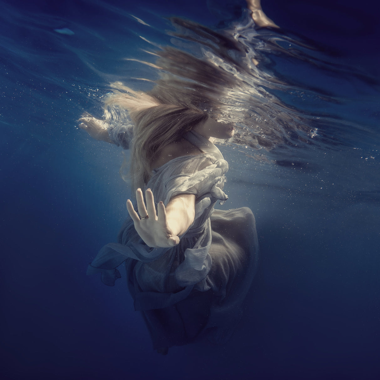 Dive into the blue Poster och Canvastavla