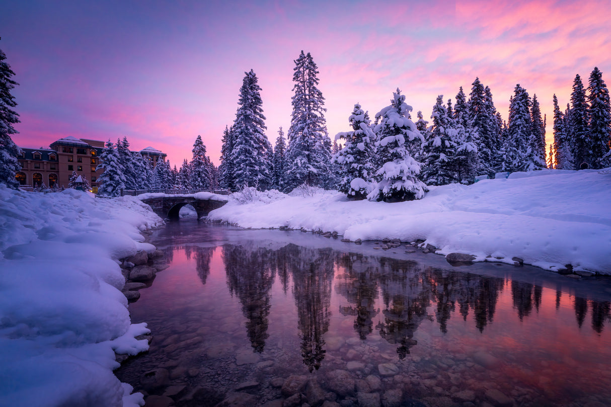 Winter Forest Poster och Canvastavla