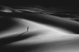 Walk in the desert II Poster och Canvastavla