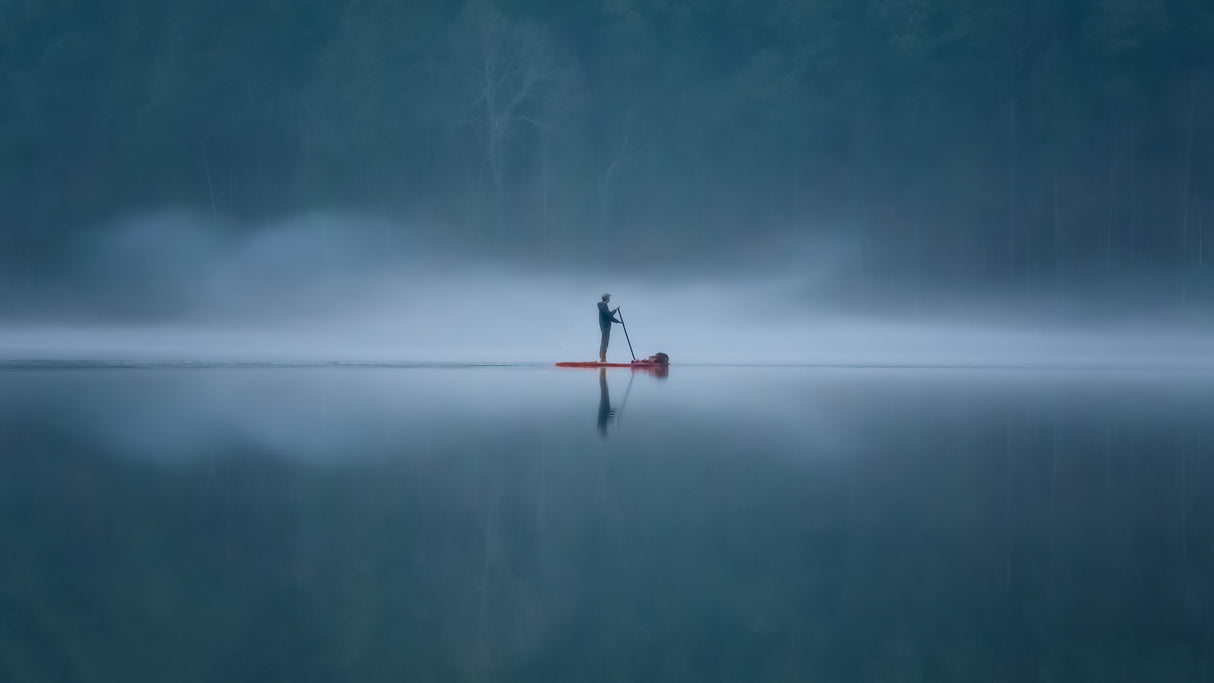Symmetry in the Fog Poster och Canvastavla