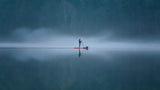 Symmetry in the Fog Poster och Canvastavla