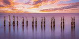 Cape Pilings in Purple Poster och Canvastavla