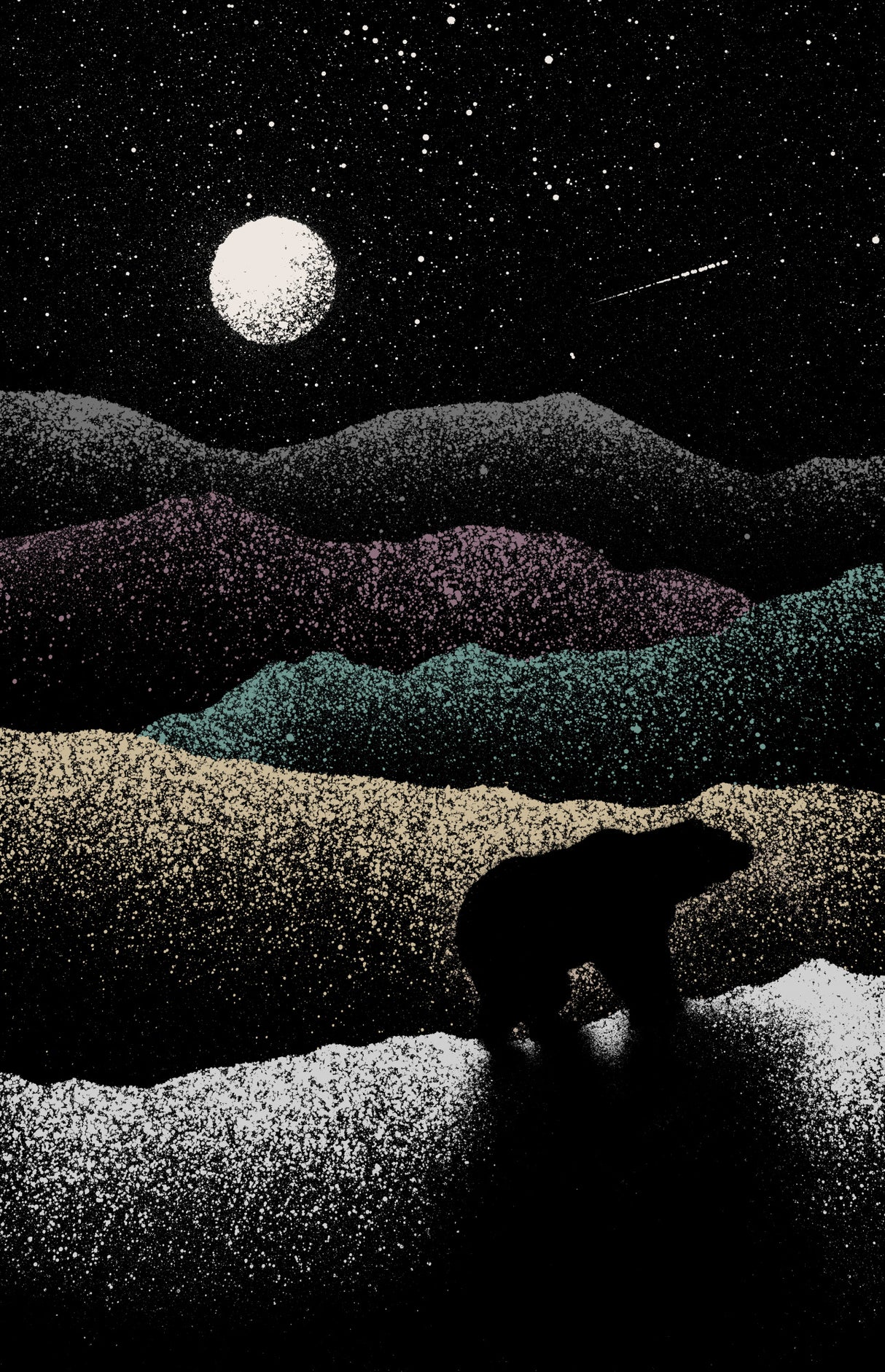 Wandering Bear Poster och Canvastavla