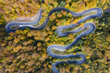 Autumn road Poster och Canvastavla