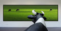 My wish: I was grazing there myself...! Poster och Canvastavla