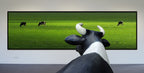 My wish: I was grazing there myself...! Poster och Canvastavla