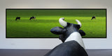 My wish: I was grazing there myself...! Poster och Canvastavla