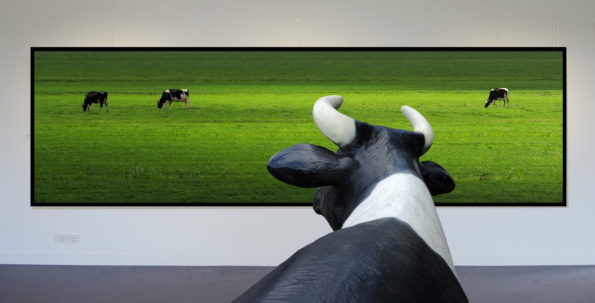 My wish: I was grazing there myself...! Poster och Canvastavla