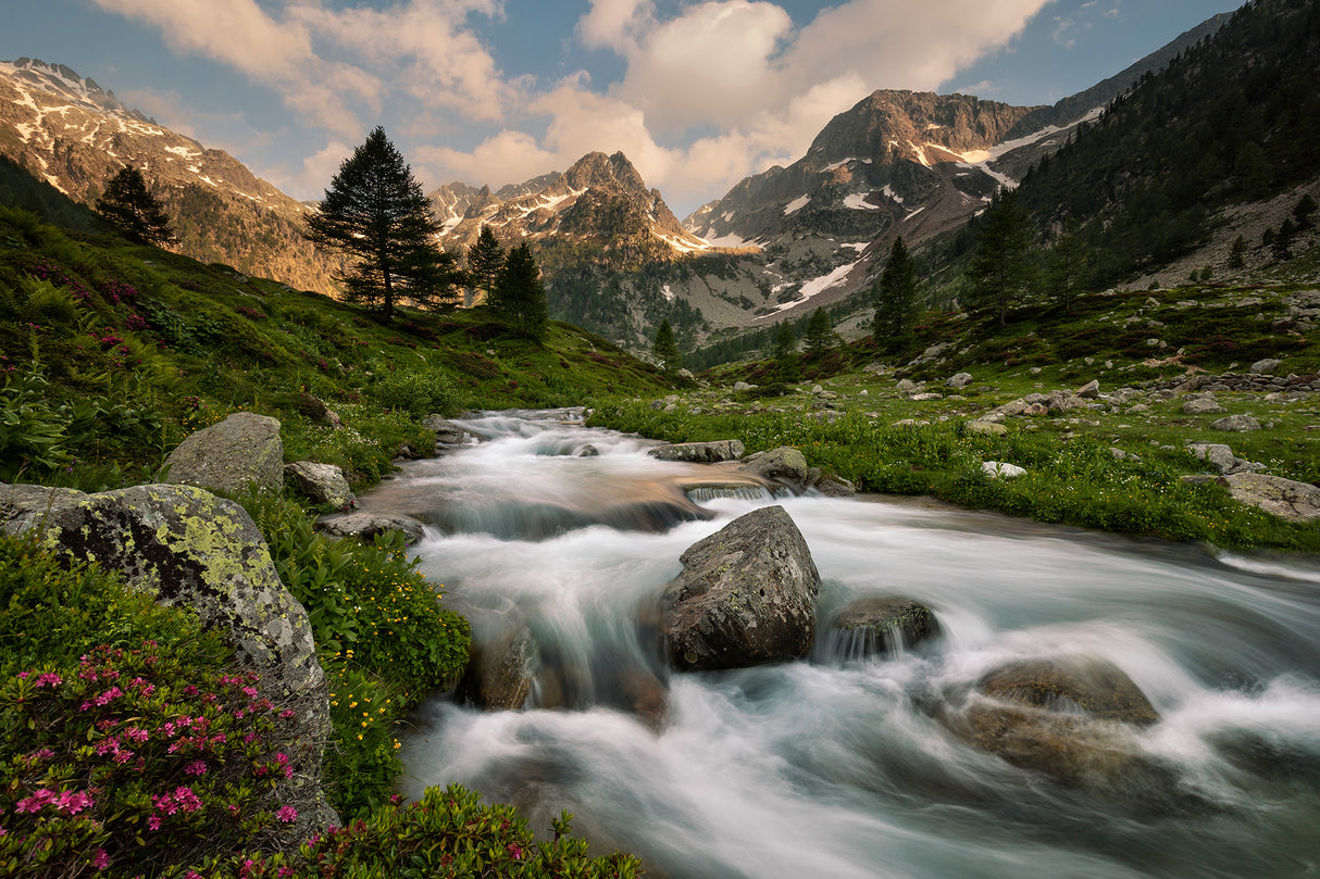 Maritime Alps Park Poster och Canvastavla