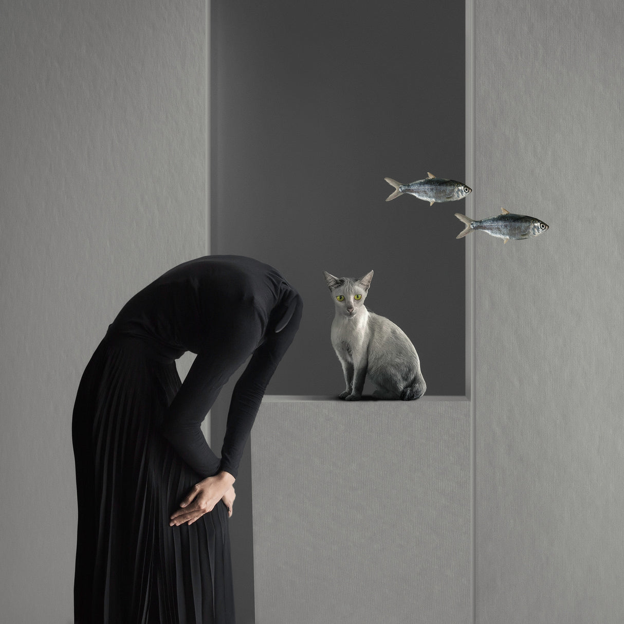 Who moved my fish  ( dialogue ) Poster och Canvastavla