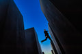 The leap Poster och Canvastavla