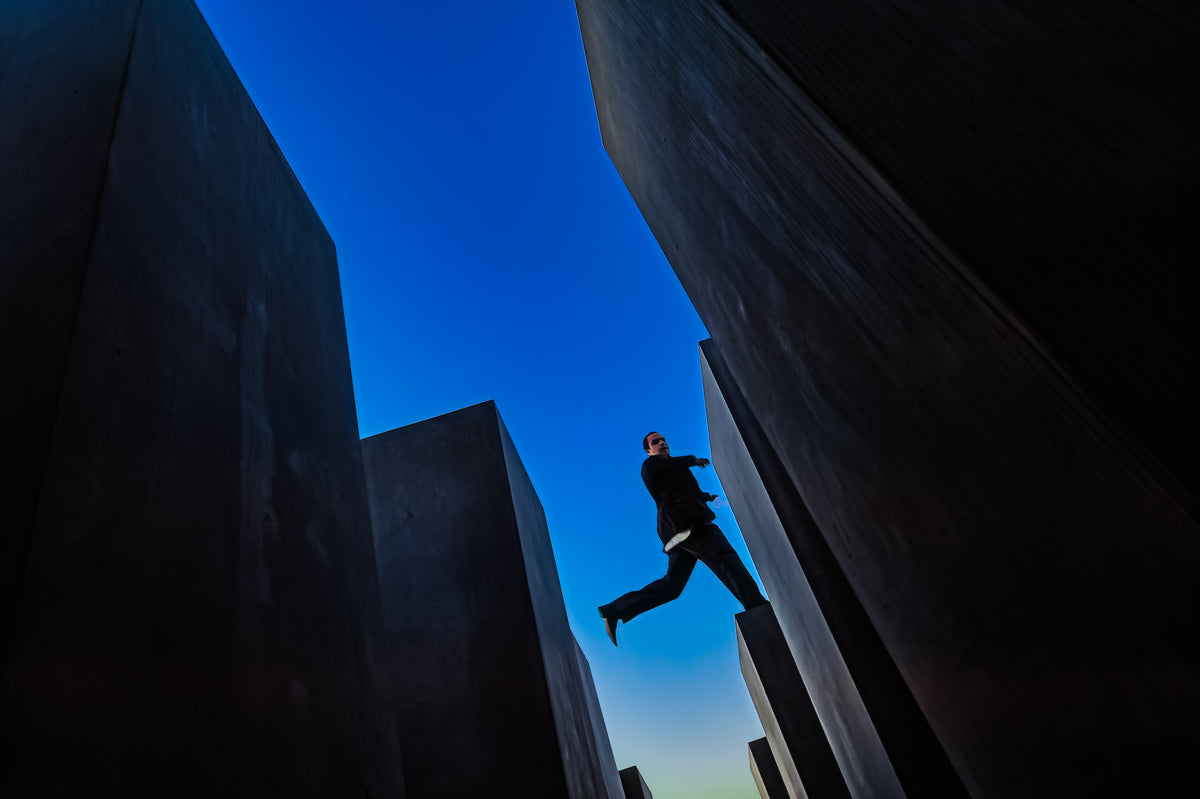 The leap Poster och Canvastavla