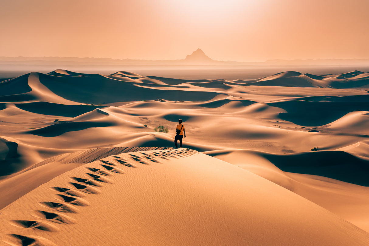 Alone In Desert Poster och Canvastavla