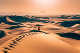 Alone In Desert Poster och Canvastavla