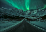green lady Poster och Canvastavla