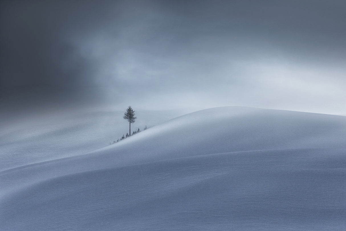 wintertime Poster och Canvastavla