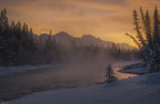 Misty Daybreak Poster och Canvastavla