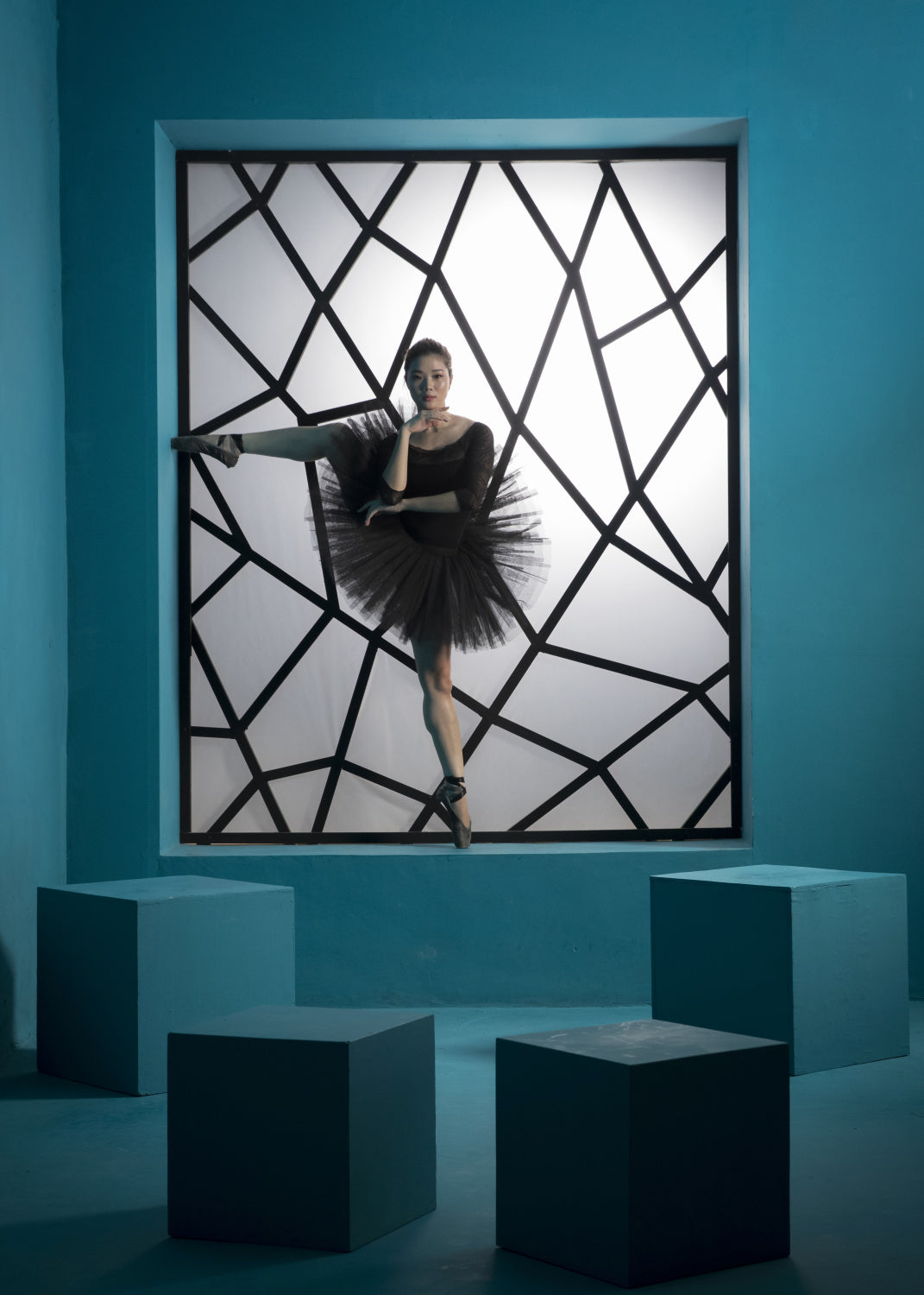 Balerina  in The Frame Poster och Canvastavla