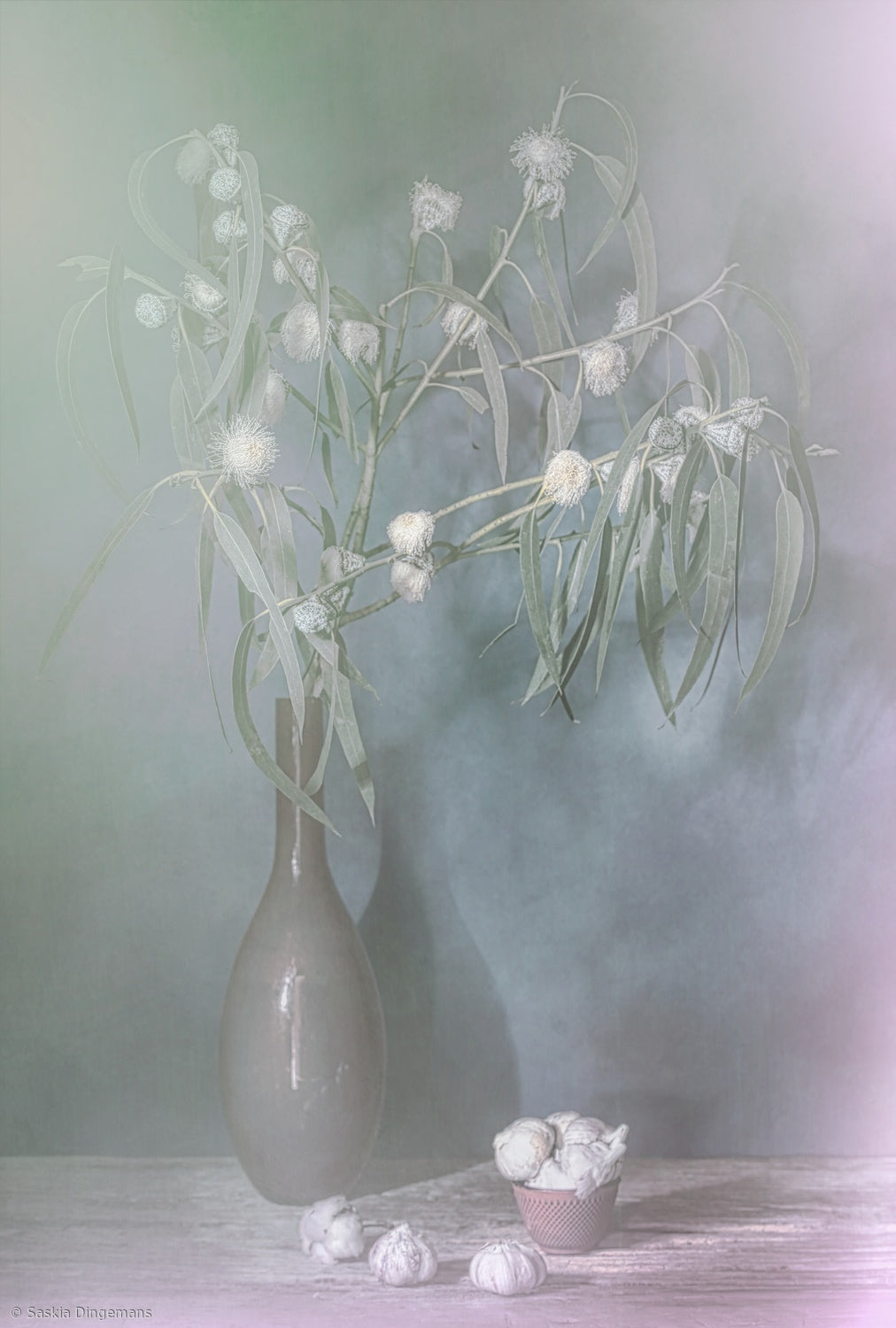 Winter glow. Poster och Canvastavla