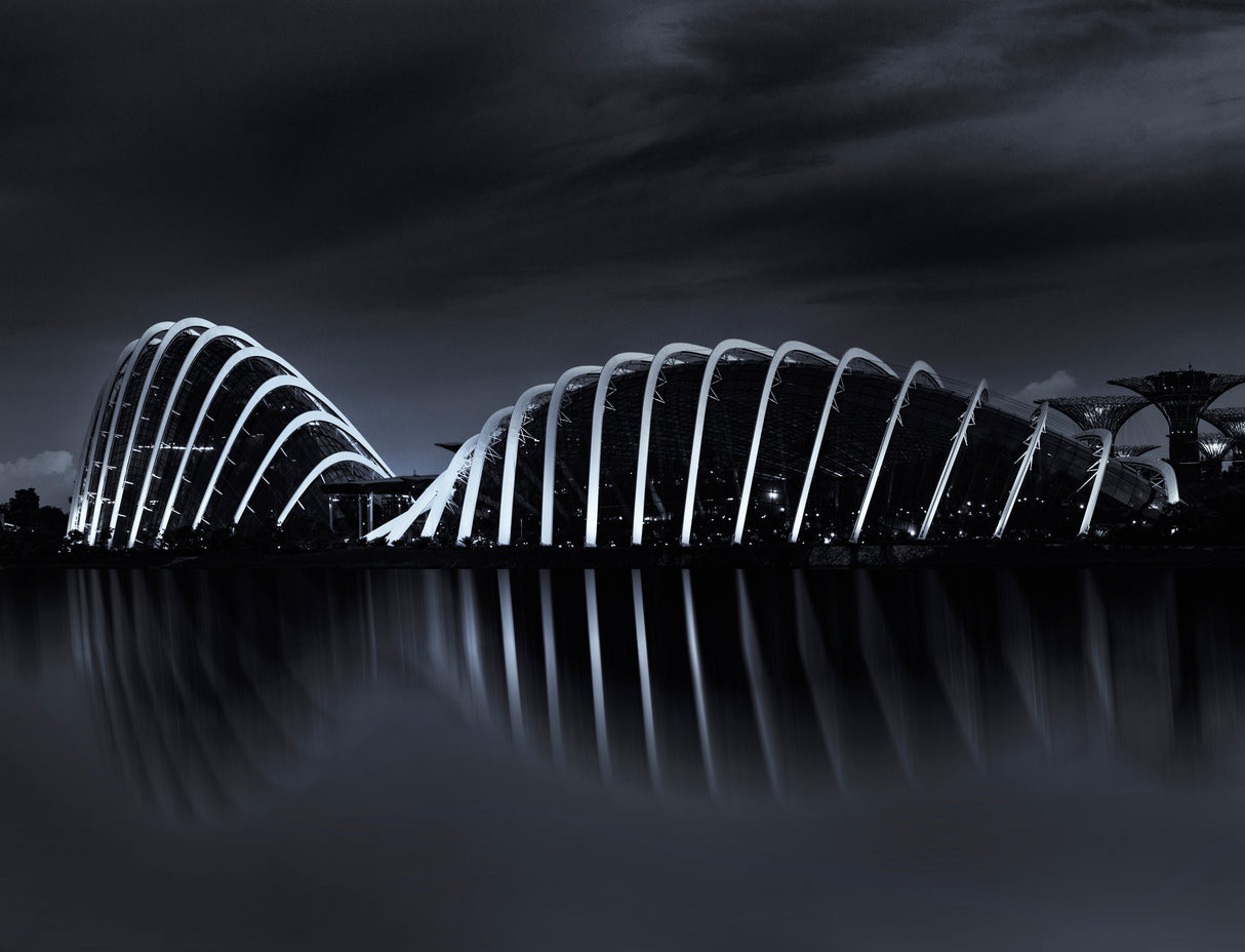 Garden by the bay Poster och Canvastavla
