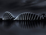 Garden by the bay Poster och Canvastavla