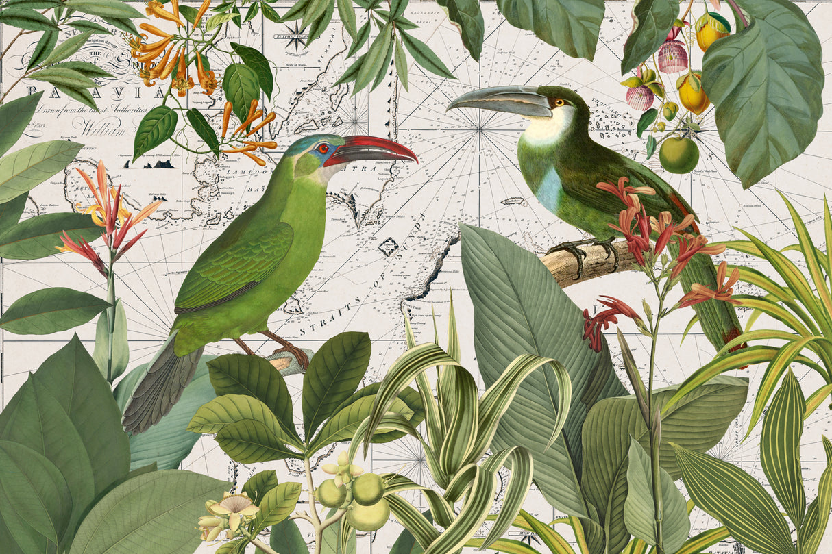 Parrots Nostalgic Journey 3 Poster och Canvastavla