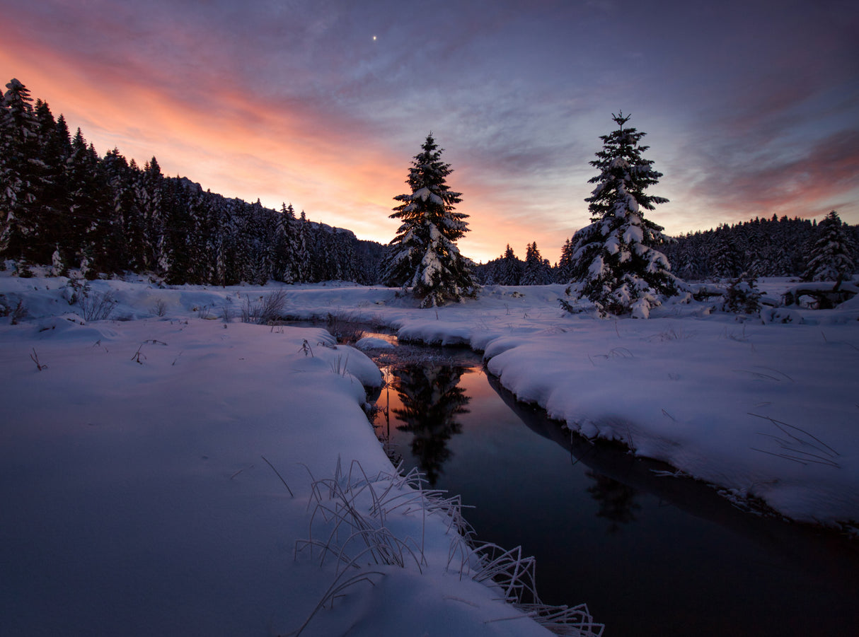 The breath of winter Poster och Canvastavla
