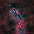 The Elephant Trunk Nebula Poster och Canvastavla