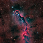 The Elephant Trunk Nebula Poster och Canvastavla