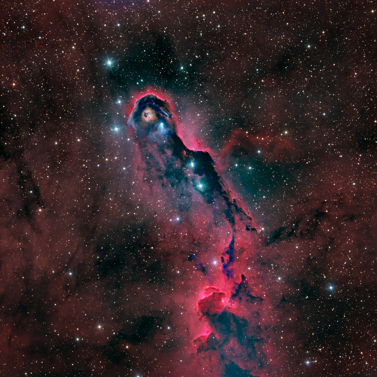 The Elephant Trunk Nebula Poster och Canvastavla
