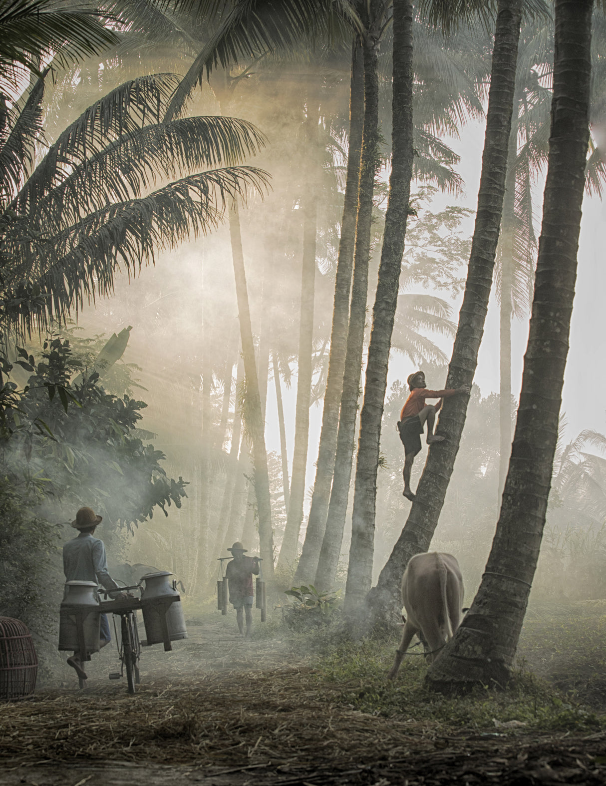 Life in Blitar Village Poster och Canvastavla