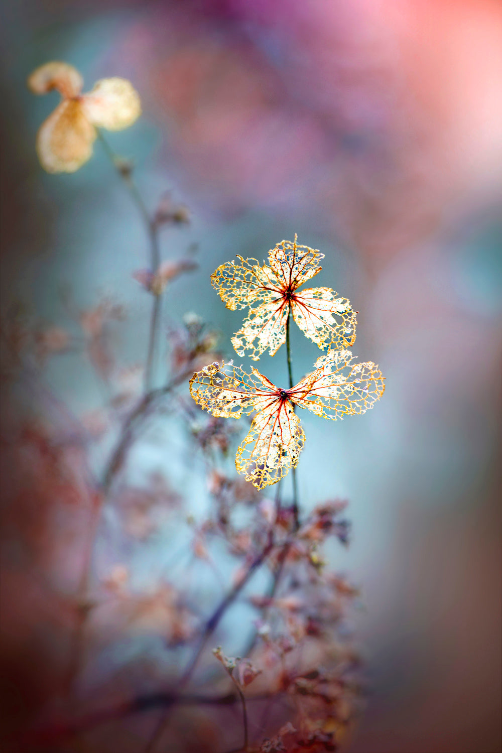 Simple Nature Poster och Canvastavla