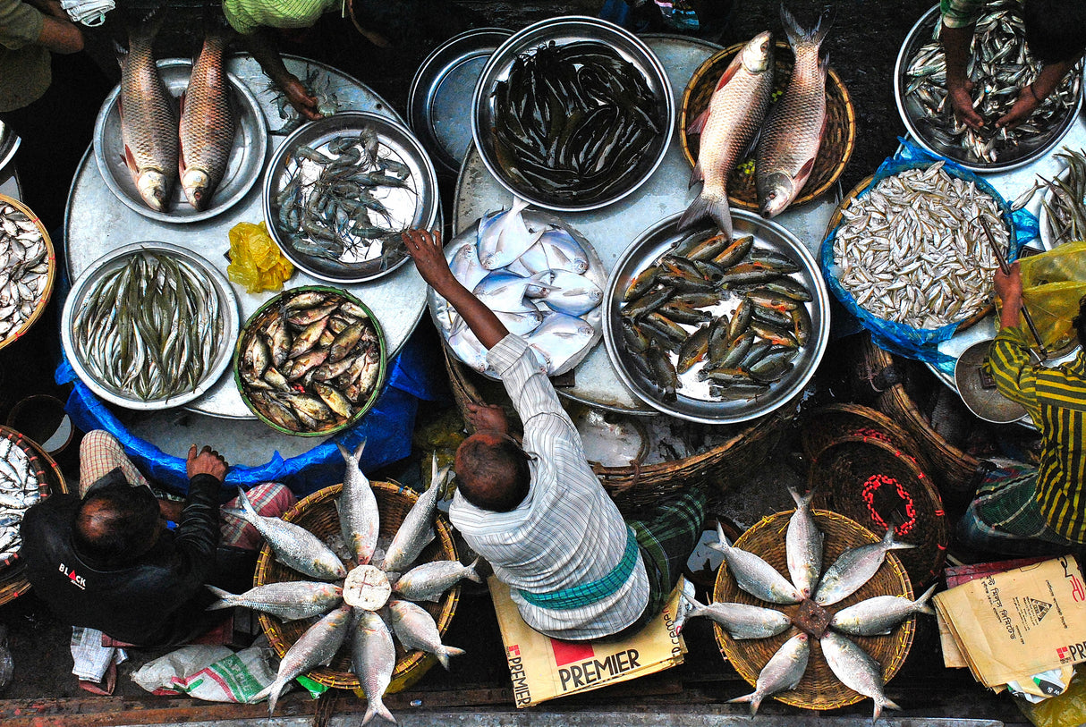 Fish Market Poster och Canvastavla