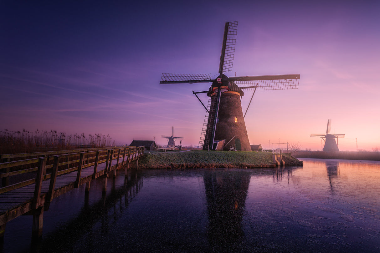 Frozen Kinderdijk Poster och Canvastavla